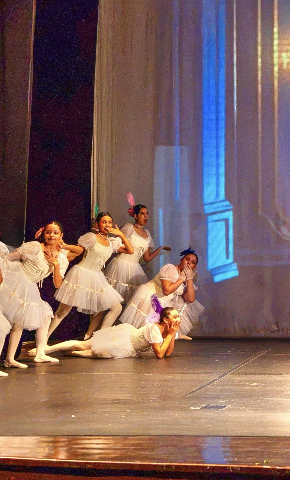 Festival 2026 — Beatriz Abreu Cátedra de Danza